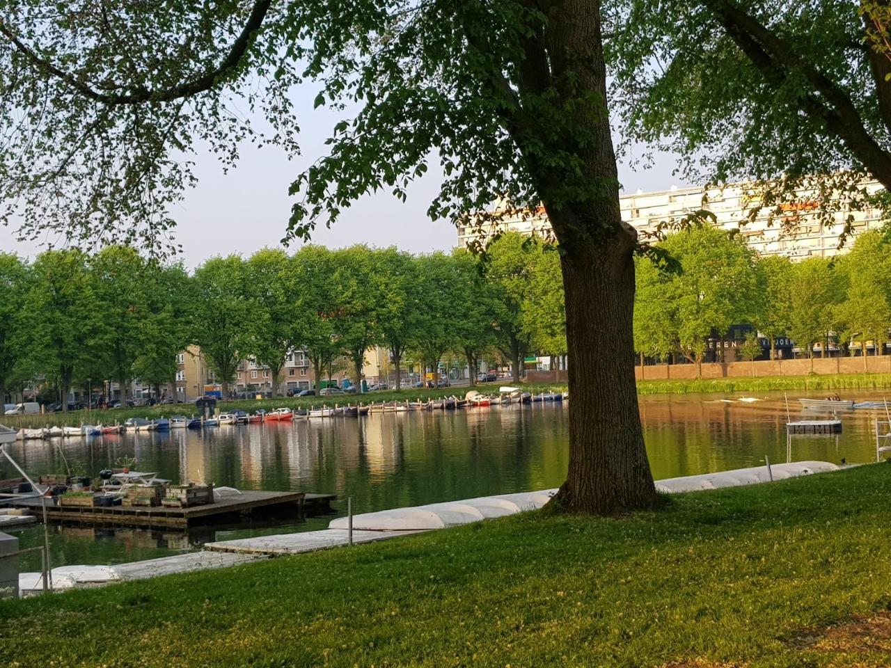 Mi Bnb Amsterdam Esterno foto